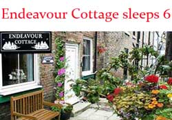 Endeavour Cottage in Whitby  is dog and pet friendly 
