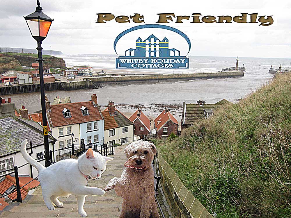 Dog and pet friendly cottages and apartments in Whitby